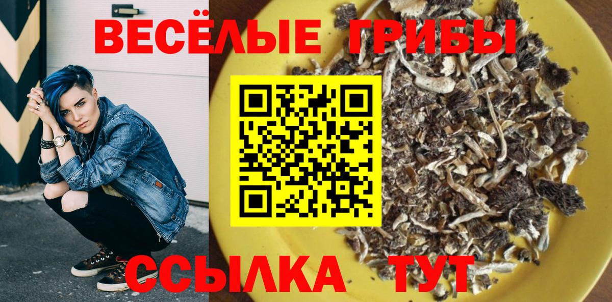Псилоцибиновые грибы Psilocybe  Галлюциногенные грибы мицелий  Новый Уренгой  Вход с VPN 