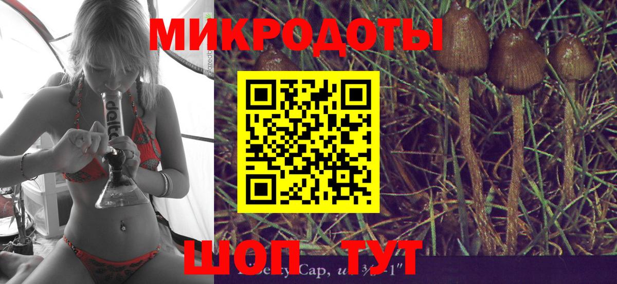 Псилоцибиновые грибы GOLDEN TEACHER Новый Уренгой